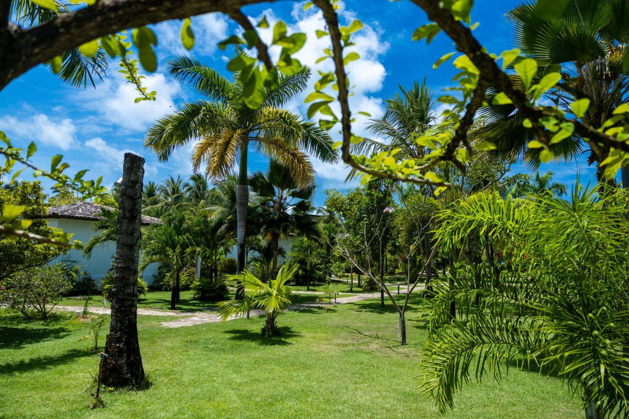 Pousada Aldeia Beijupira Pôrto de Pedras المظهر الخارجي الصورة